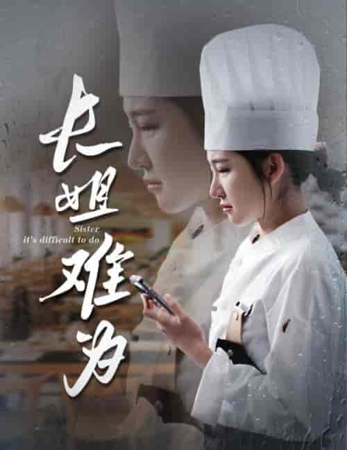 长姐难为（60集全）喻嘉琳 乐瑶 - 海之城短剧