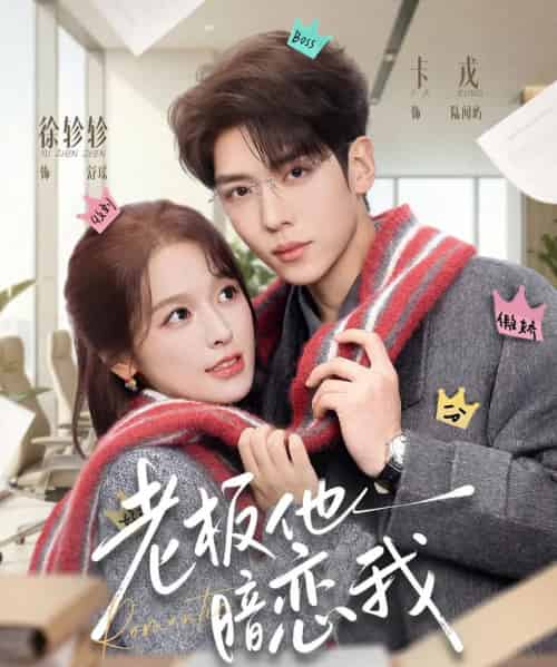 老板他暗恋我（73集全）徐轸轸＆卡戎-海之城短剧项目