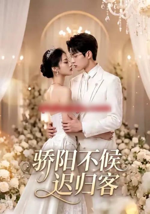 骄阳不候迟归客（59集全）AI短剧-海之城短剧项目