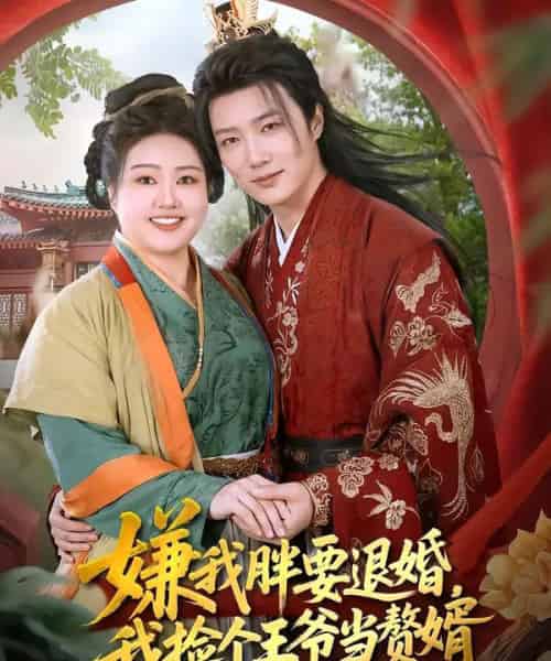 嫌我胖要退婚，我捡个王爷当赘婿（80集全）宋周玲＆王嘉皓-海之城短剧项目