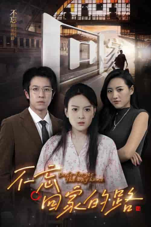 不忘回家的路（61集全） - 海之城短剧