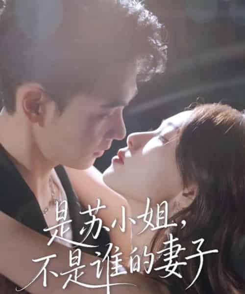 是苏小姐不是谁的妻子（39集全）郑子健＆杨沫-海之城短剧项目