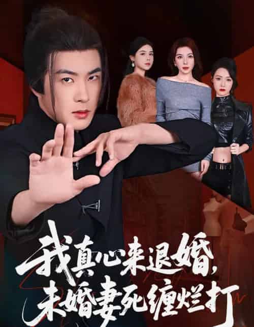 我真心来退婚，未婚妻死缠烂打（72集全）孔奇力＆吴美慧-海之城短剧项目