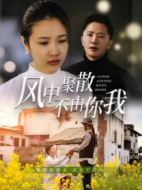 风中聚散不由你我（41集全）焦娜＆周湉羽 - 海之城短剧