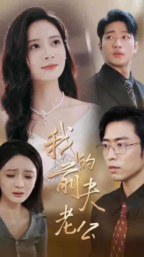 我的前夫老公（70集全）曹天恺＆刘美娜 - 海之城短剧