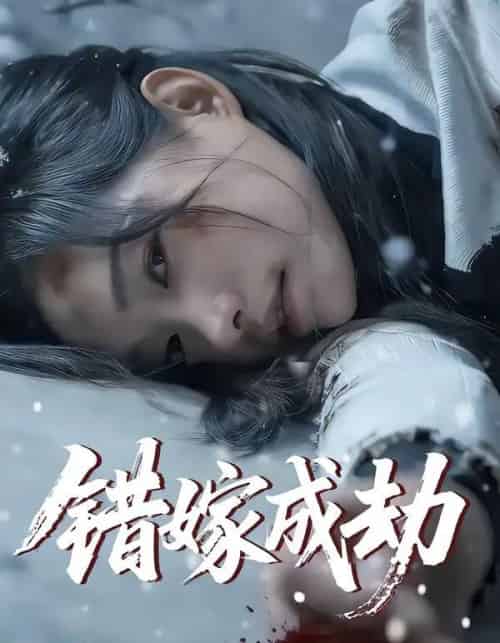 错嫁成劫（60集全）王向志＆洪佳宁-海之城短剧项目