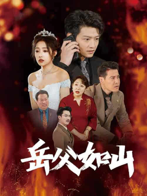 岳父如山＆岳父的礼物（30集全）阚梓艺 - 海之城短剧