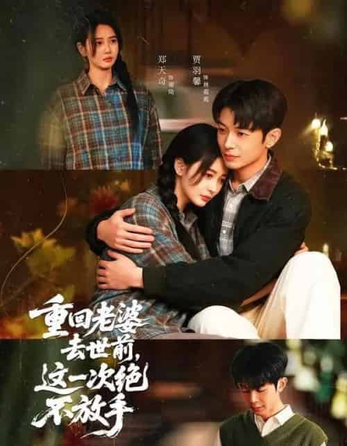 重回老婆去世前，这一次绝不放手（80集全）郑天奇＆贾羽馨-海之城短剧项目