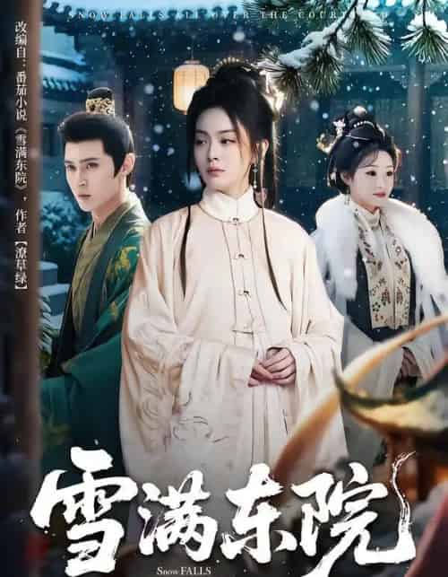 雪满东院（60集全）赵安第＆沈渡-海之城短剧项目