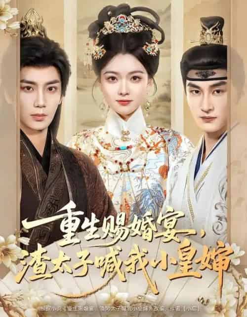 重生赐婚宴，渣太子喊我小皇婶（72集全）唐书亚＆杨帆-海之城短剧项目