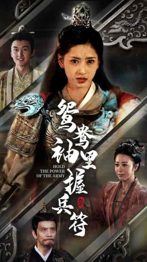 鸳鸯袖里握兵符（88集全） - 海之城短剧