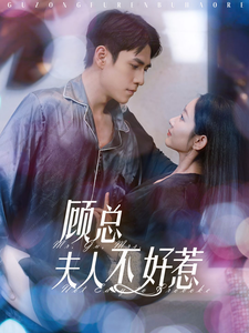 顾总夫人不好惹（80集全）张添景＆孟嘉鑫 - 海之城短剧