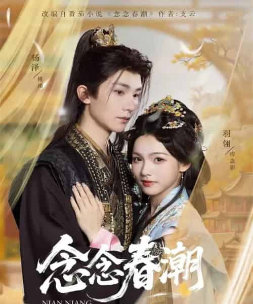 念念春潮（65集全）杨泽＆羽翎-海之城短剧项目