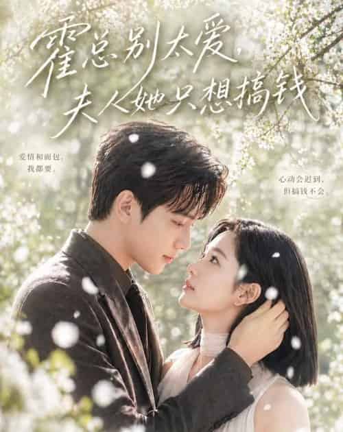 霍总别太爱，夫人她只想搞钱（66集全）AI-海之城短剧项目