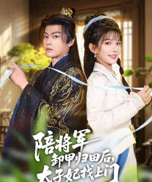陪将军卸甲归田后，太子妃找上门（60集全）朱芝琳＆朱城玮-海之城短剧项目