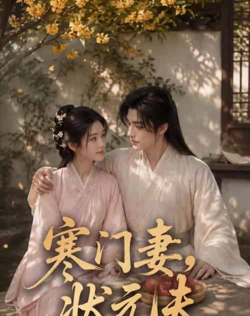 寒门妻，状元夫（66集全）AI-海之城短剧项目