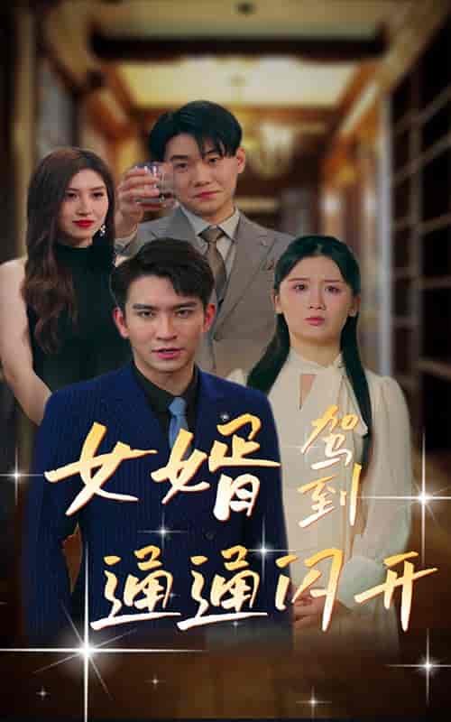 女婿驾到，通通闪开（34集） - 海之城短剧