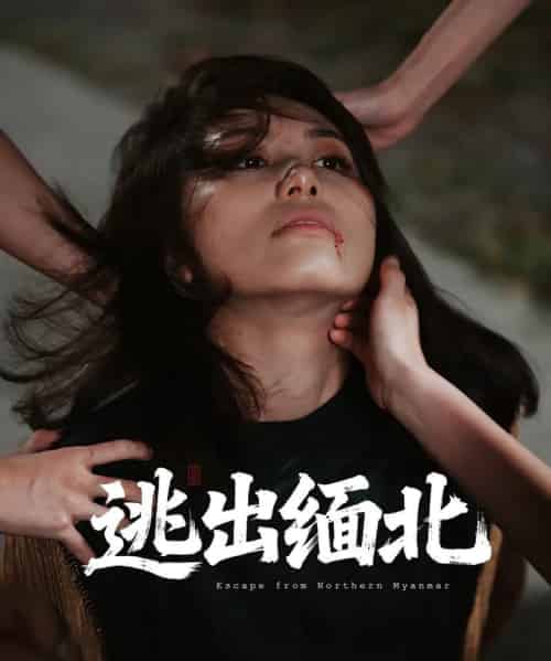 逃出缅北（62集）刘振安＆汪芷萱-海之城短剧项目