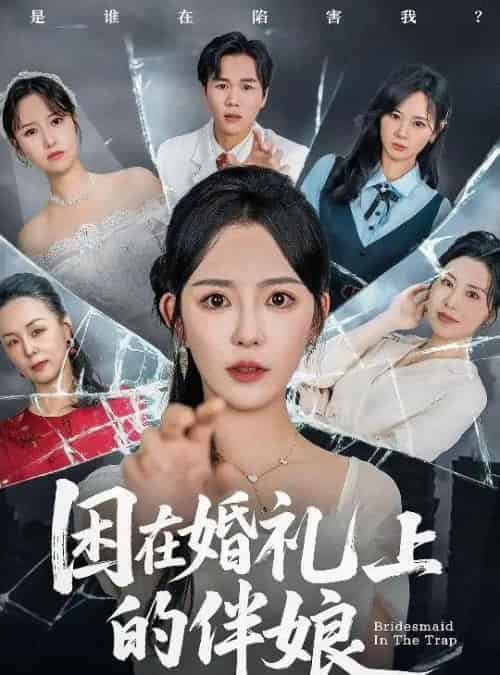 困在婚礼上的伴娘 困在婚礼上的伴娘