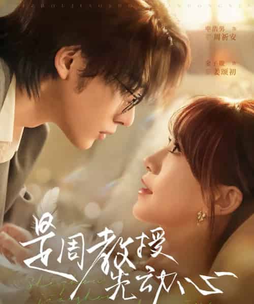 是周教授先动心（94集全）申浩男＆金子璇-海之城短剧项目