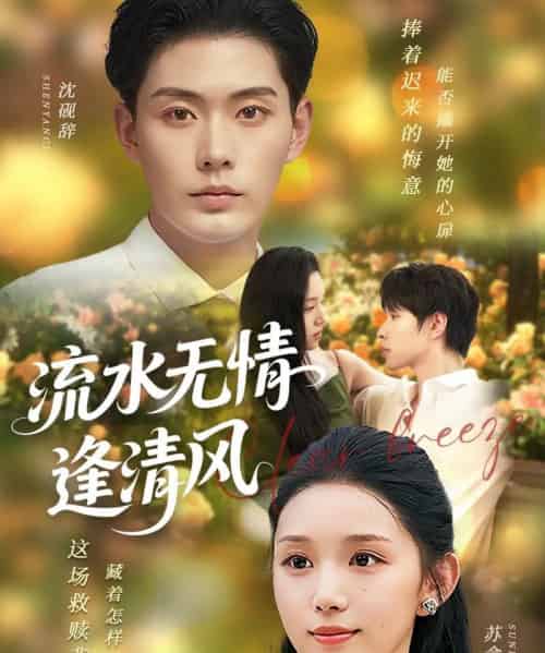 流水无情逢清风 （77集） 代嘉莉-海之城短剧项目