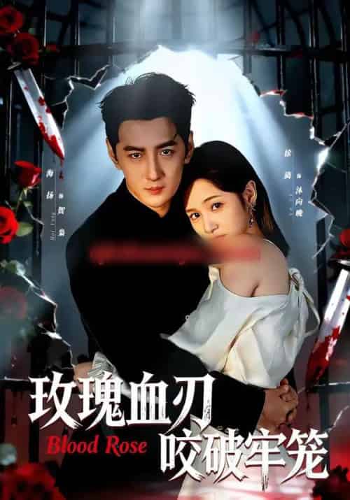 玫瑰血刃咬破牢笼（77集全）于海洋＆徐旖-海之城短剧项目