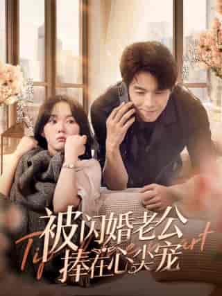 被闪婚老公捧在心尖宠（100集）马乐婕 - 海之城短剧