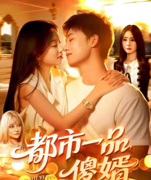 都市一品傻婿 （96集） - 海之城短剧