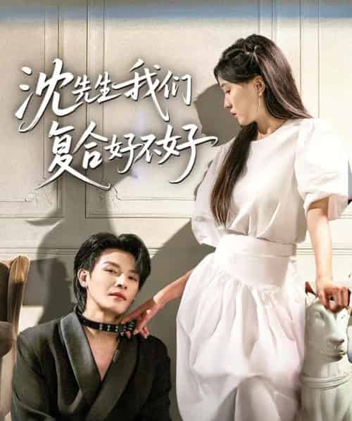 沈先生我们复合好不好（60集）李彬航＆刘玉姣 - 海之城短剧