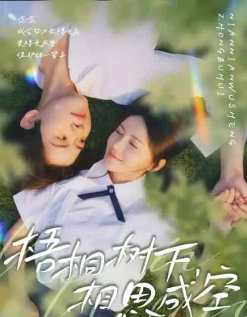 梧桐树下，相思成空（69集全）游雅＆刘家铭-海之城短剧项目