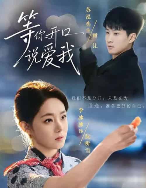 等你开口说爱我（60集全）苏泓奕＆李冰冰-海之城短剧项目