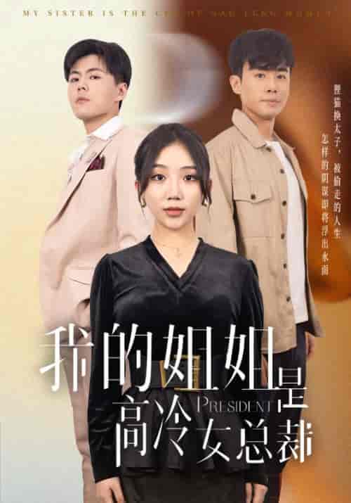 我的姐姐是高冷女总裁（42集全）徐劲＆杨紫玲 - 海之城短剧