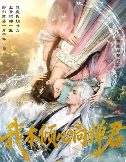 我本倾心向禅君（65集全）AI-海之城短剧项目