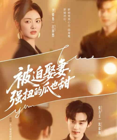 被迫娶妻强扭的瓜也甜＆被迫娶妻，强扭的瓜也甜（73集全）张力壬＆李婧也 - 海之城短剧
