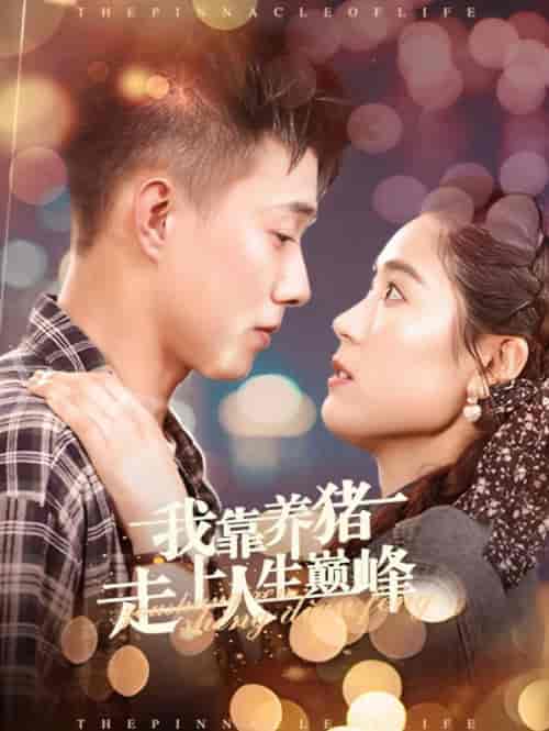 我靠养猪走上人生巅峰（60集全）黄文博＆翟一莹 - 海之城短剧