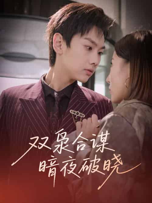 双枭合谋暗夜破晓 双枭合谋暗夜破晓