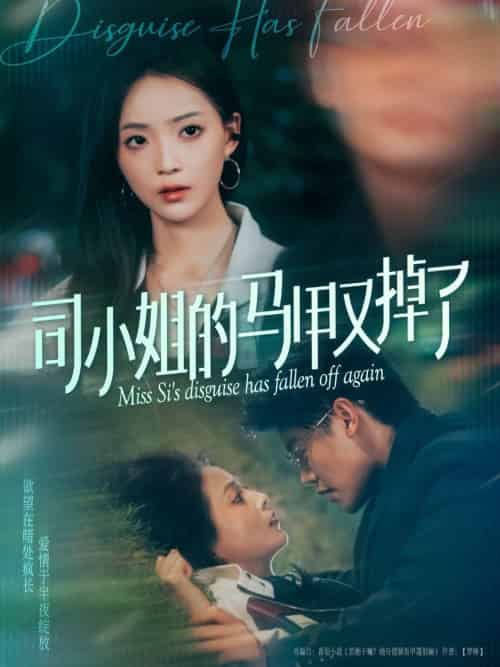 司小姐的马甲又掉了 司小姐的马甲又掉了