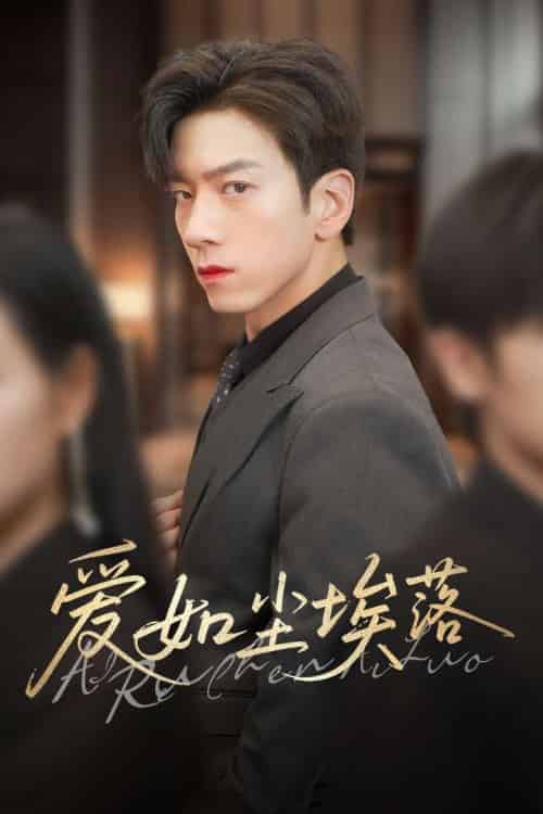 爱如尘埃落 爱如尘埃落