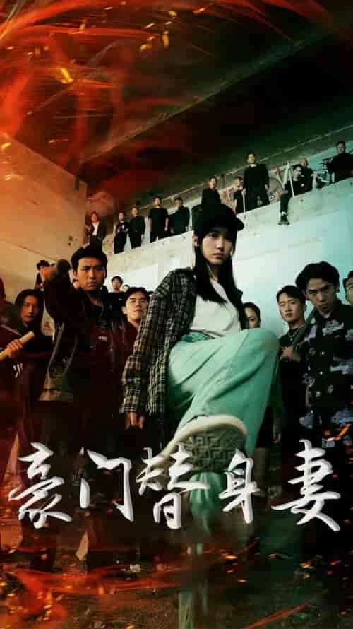 豪门替身妻 豪门替身妻