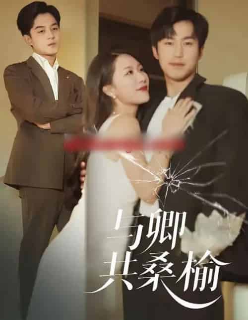 与卿共桑榆（63集全）贺龙天＆钟嘉玲-海之城短剧项目