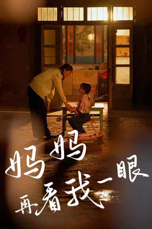 妈妈再看我一眼（32集） - 海之城短剧