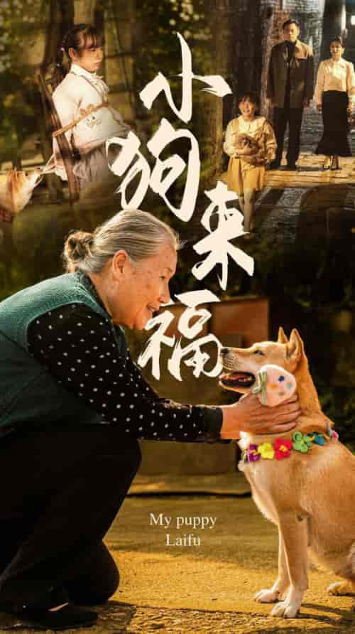 小狗来福（30集全） - 海之城短剧