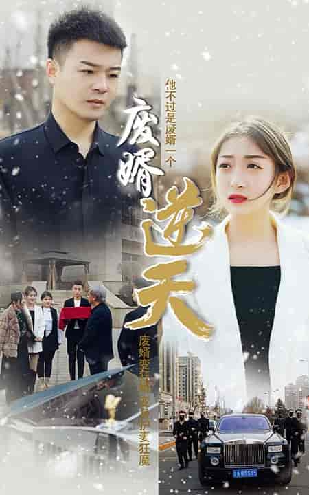 废婿逆天-101集 废婿逆天-101集