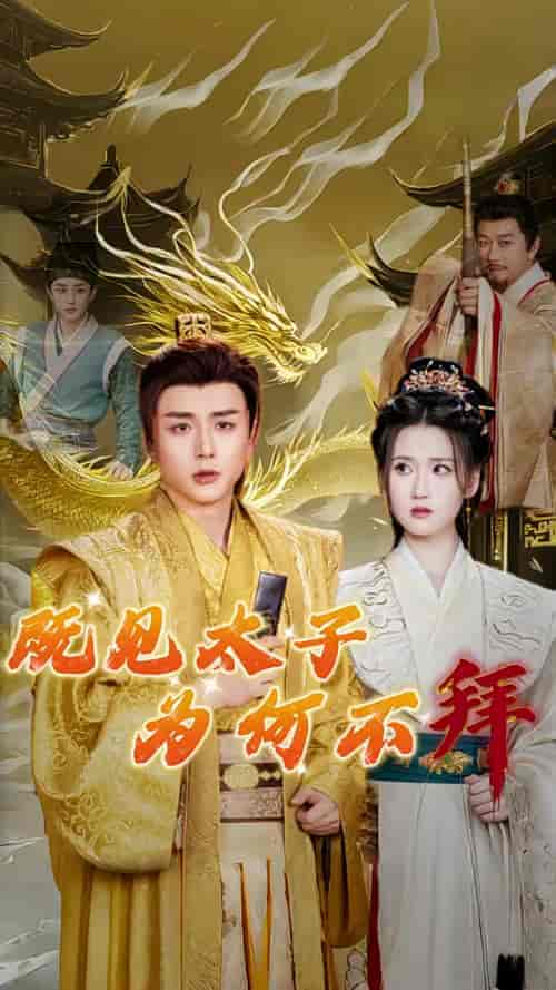 既见太子为何不拜（62集全） - 海之城短剧