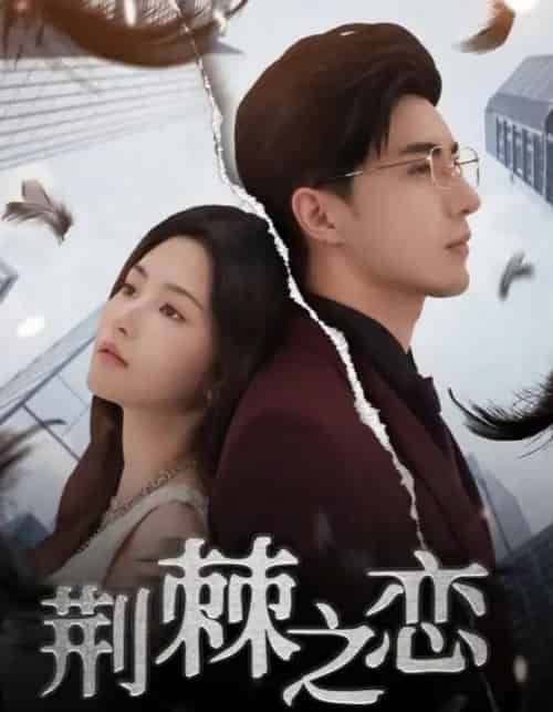 荆棘之恋（60集）李柏言＆周妍坤 - 海之城短剧
