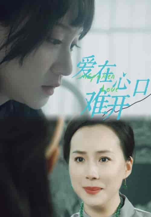 爱在心口难开（97集）吴婧鑫 - 海之城短剧