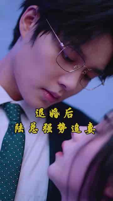 悔婚后,我变成陆总的心尖宠 悔婚后,我变成陆总的心尖宠
