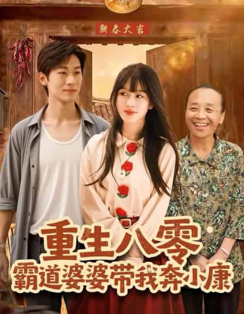 重生八零霸道婆婆带我奔小康（87集全）林煜岩＆陈朝玉-海之城短剧项目