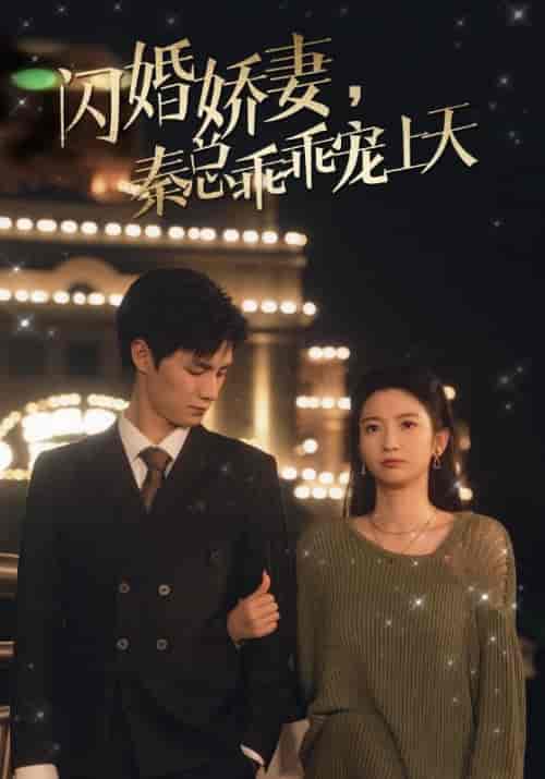 闪婚娇妻,秦总乖乖宠上天 闪婚娇妻,秦总乖乖宠上天