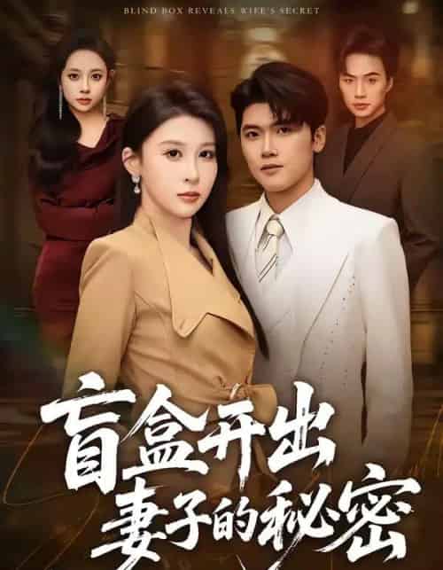 盲盒开出妻子的秘密（40集全）林嘉翊＆张灵钰-海之城短剧项目